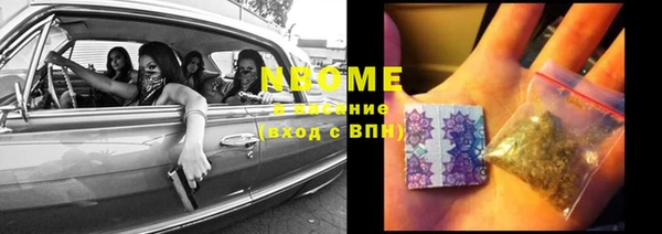 шишки Белоозёрский