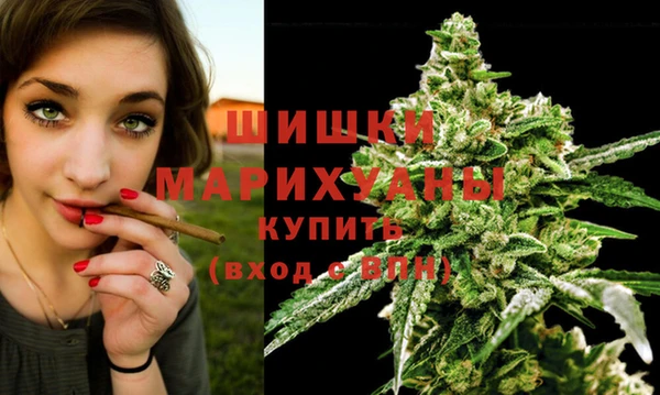 PSILOCYBIN Беломорск