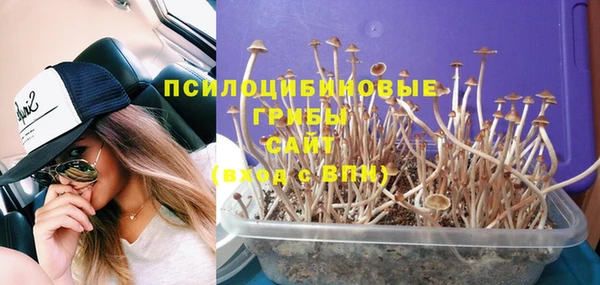 таблы Гвардейск