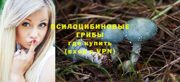 кокс Белокуриха