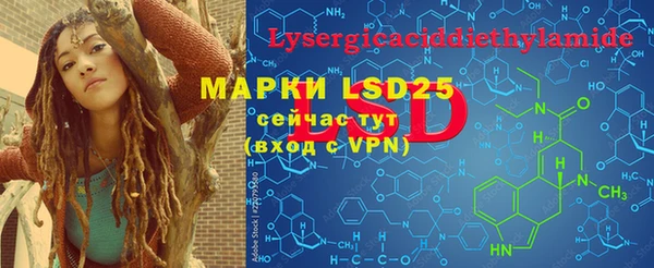 шишки Белоозёрский