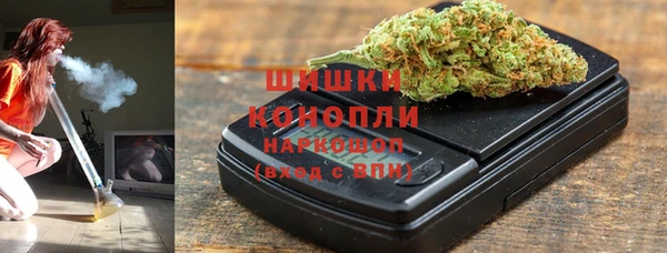 шишки Белоозёрский