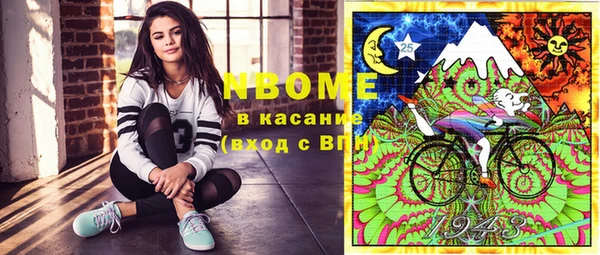 шишки Белоозёрский