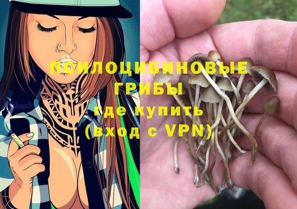 кокс Белокуриха